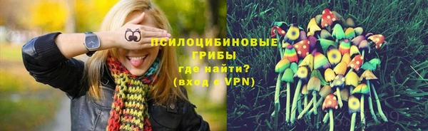 прущая мука Белокуриха