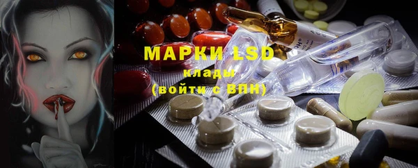 крисы Беломорск
