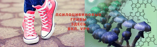 наркотики Снежногорск