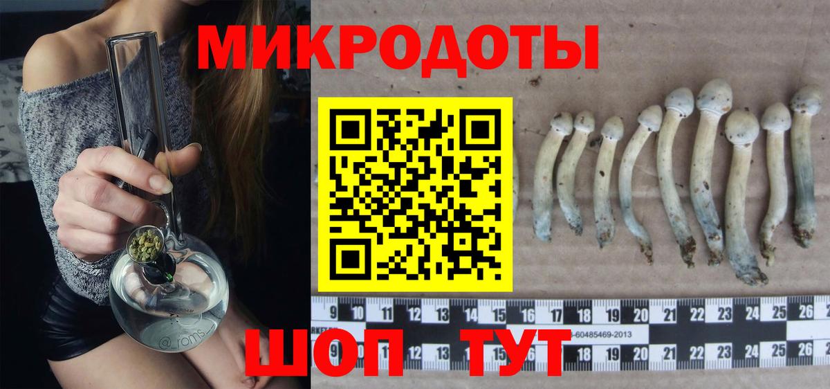 Гулькевичи  Псилоцибиновые грибы прущие грибы  Вход с VPN  Галлюциногенные грибы прущие грибы 